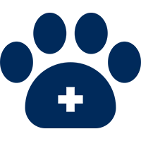 personal insurance policy